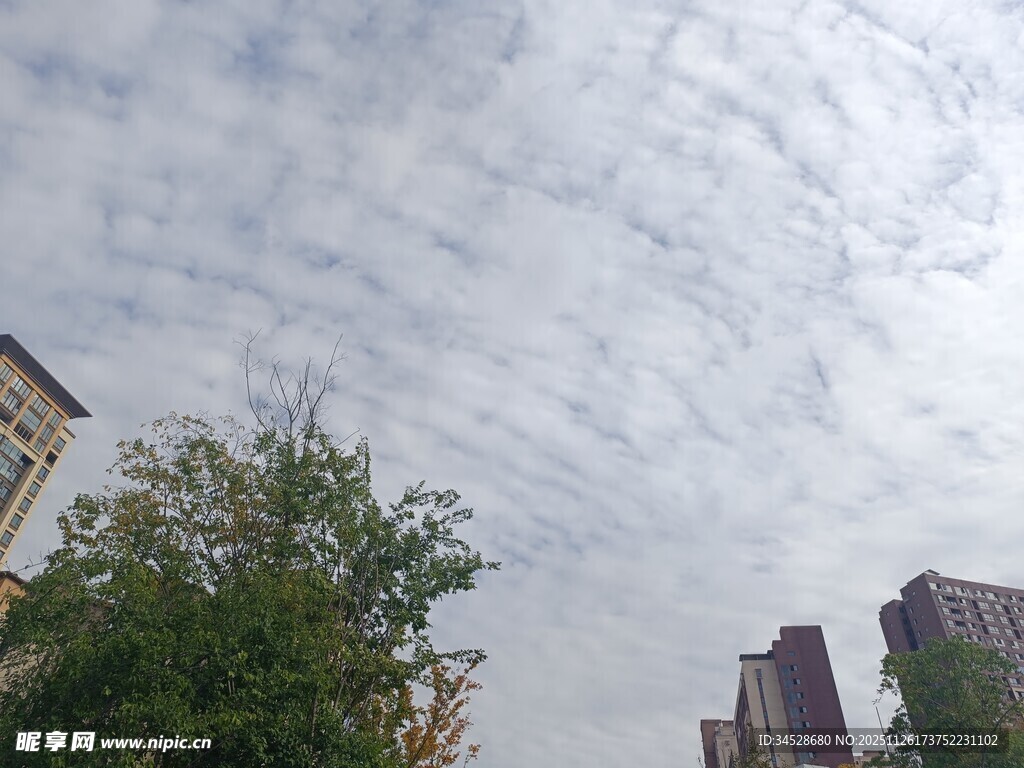 城市上空的云层与绿树