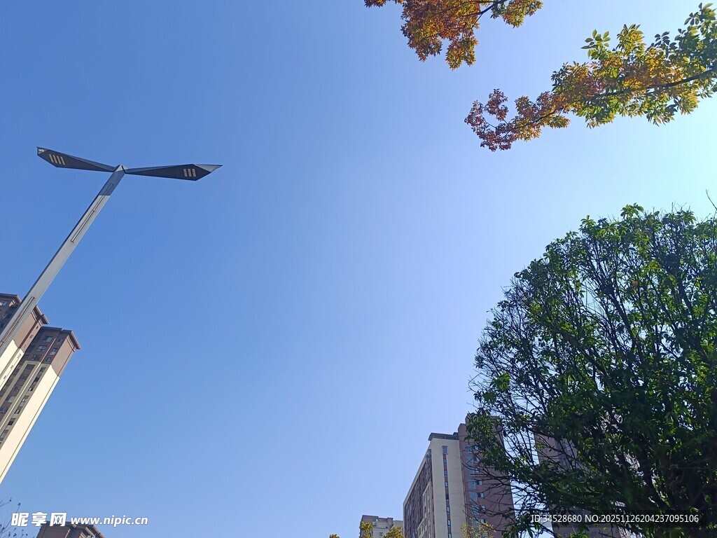 城市路灯与绿树蓝天景观