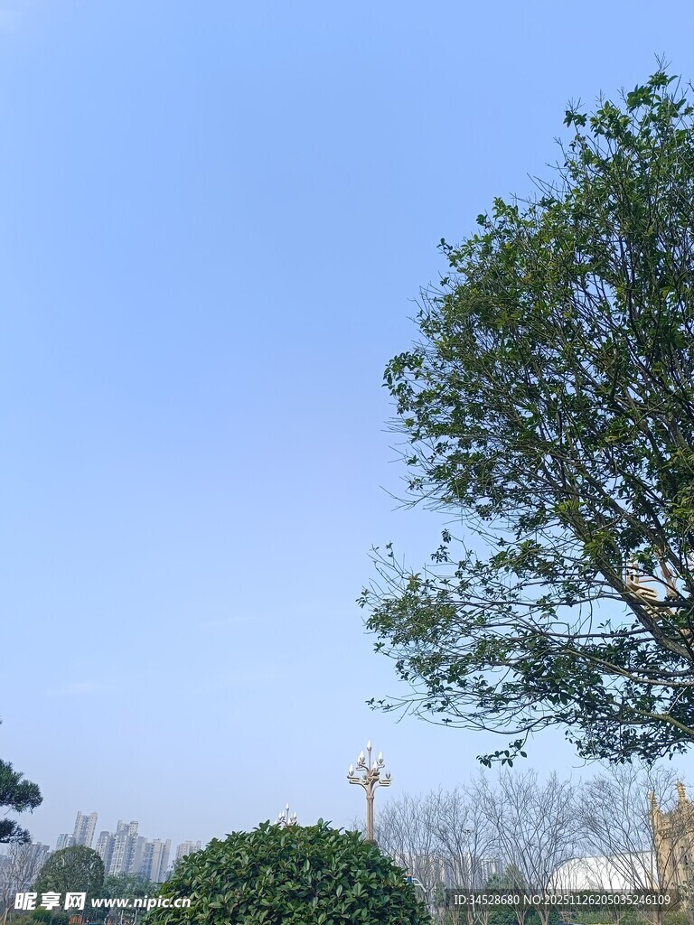 蓝天绿树风景独好