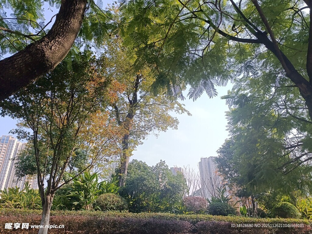 城市中的绿意景观