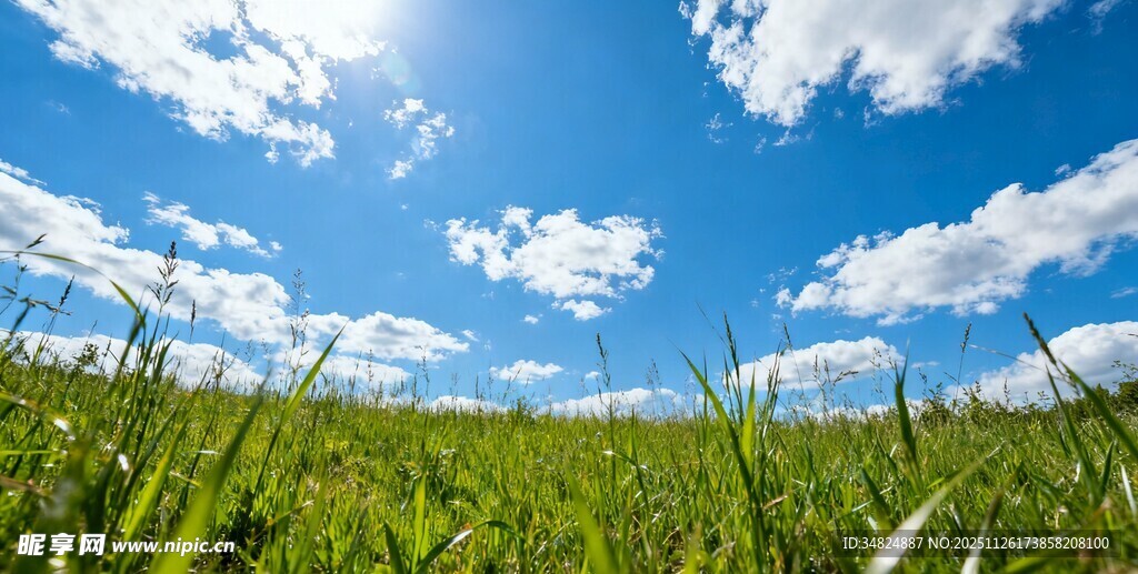 蓝天绿地间的明媚风光