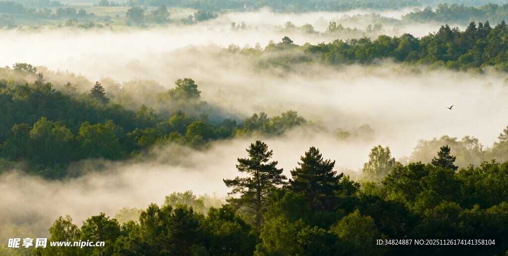 山林晨雾美景