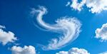 蓝天下的奇妙卷云
