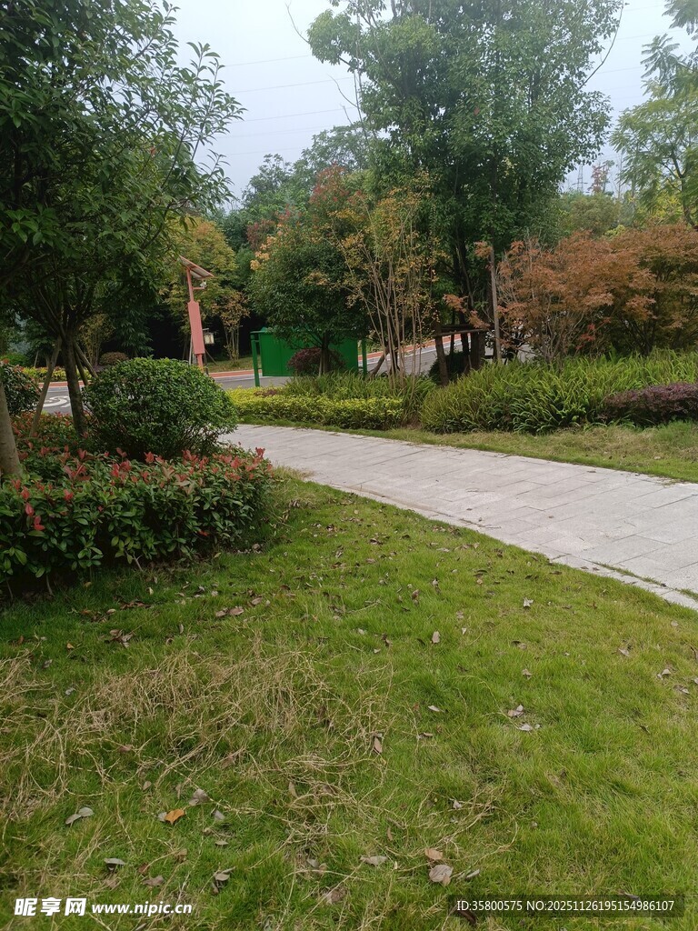 绿意盎然的公园小径