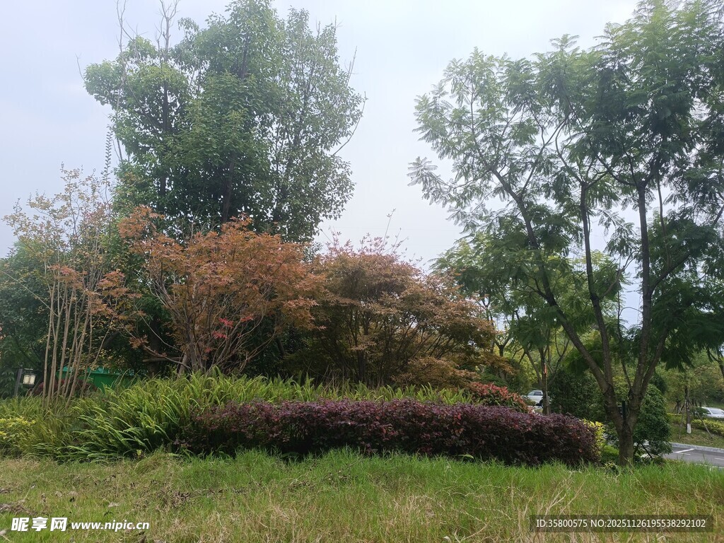 户外绿植景观