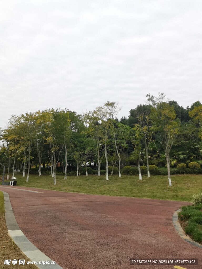 公园中的红色步道与绿树