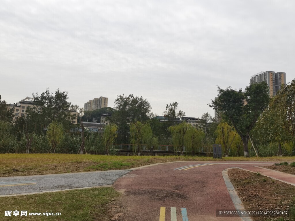 城市中的宁静林荫步道