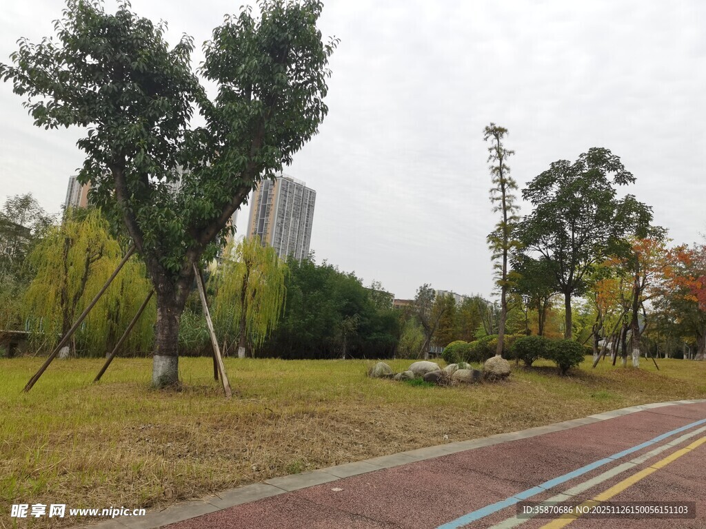 城市公园的宁静道路景观