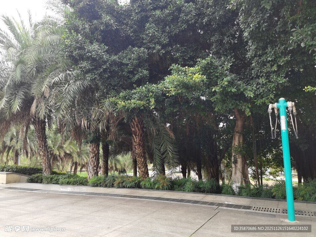 户外林荫下的健身器材