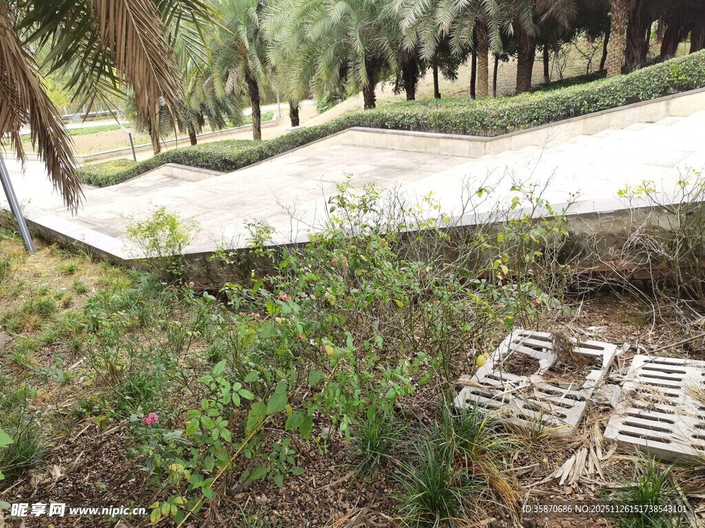 户外草地与木质结构景观