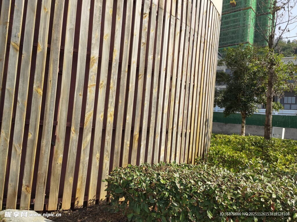 木质围栏旁的绿植景观