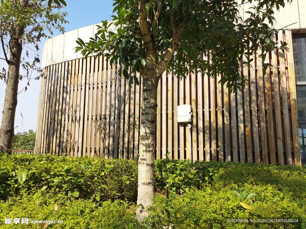 户外木质围栏与绿植景观