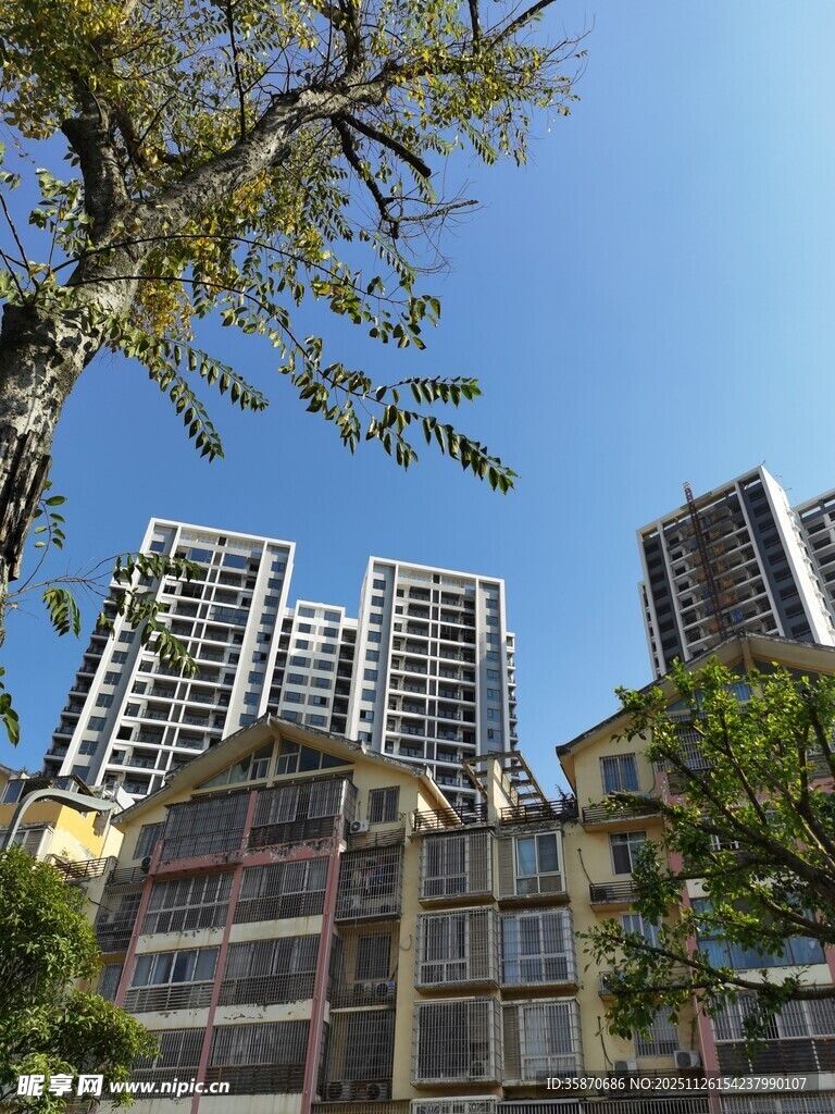 城市高楼与绿树相映成趣