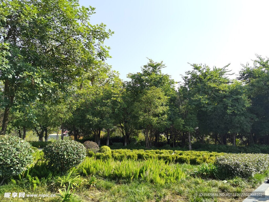 绿意盎然的户外园林景观