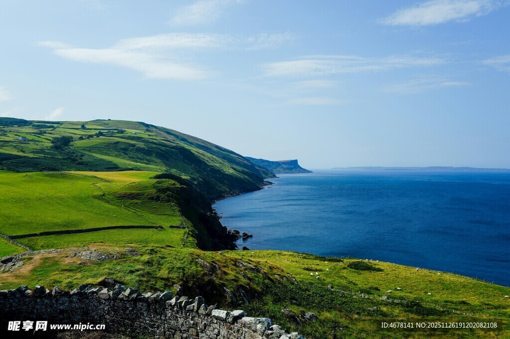 海岸边的翠绿风光