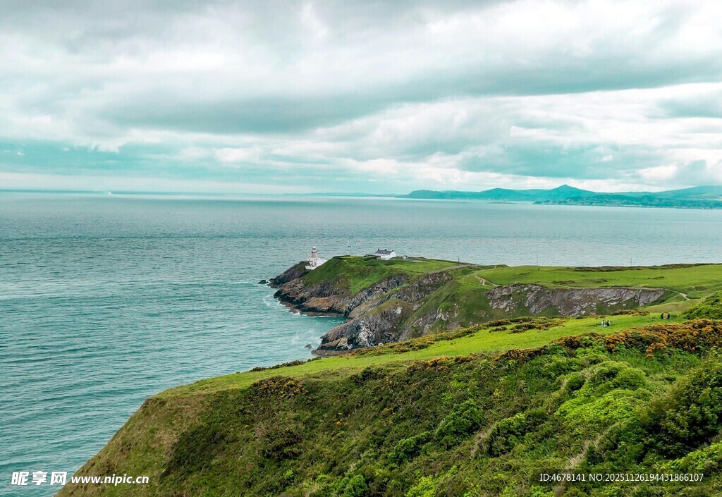 海岸绿意盎然的美丽景致