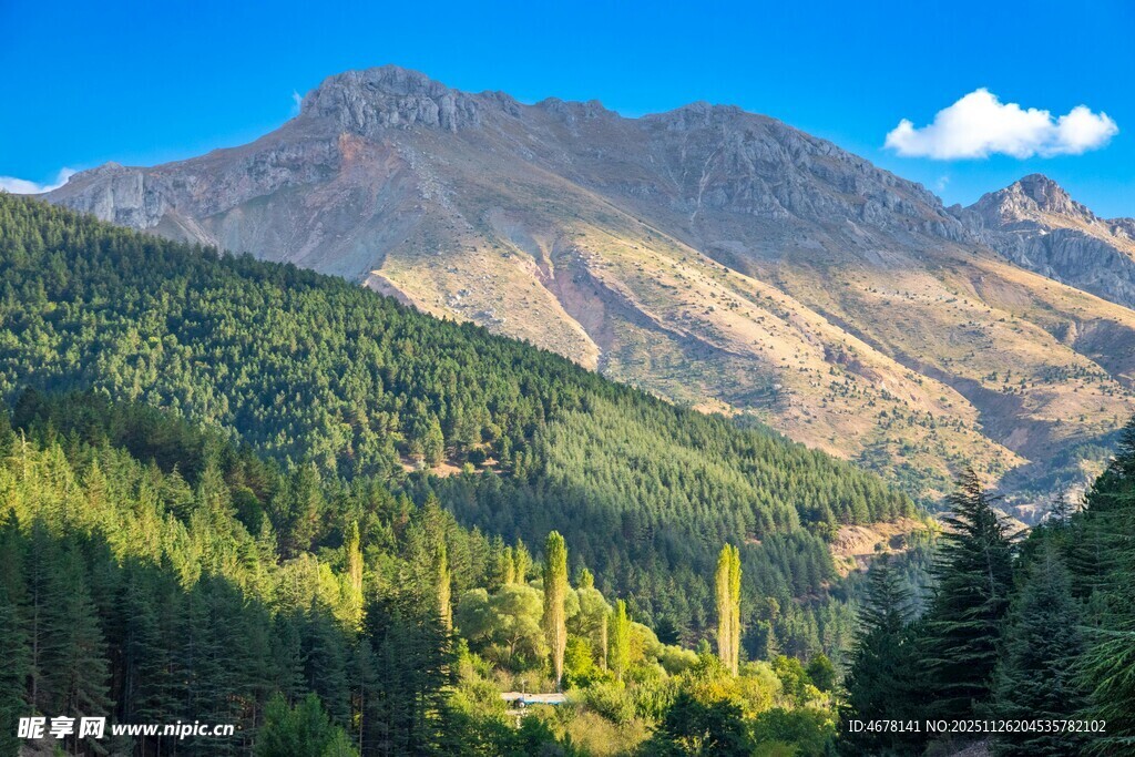 青山绿树环绕的秀丽山峰