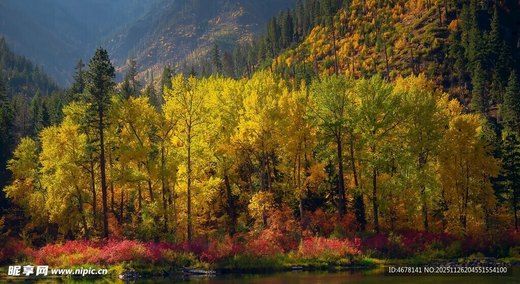 秋日山林湖畔美景