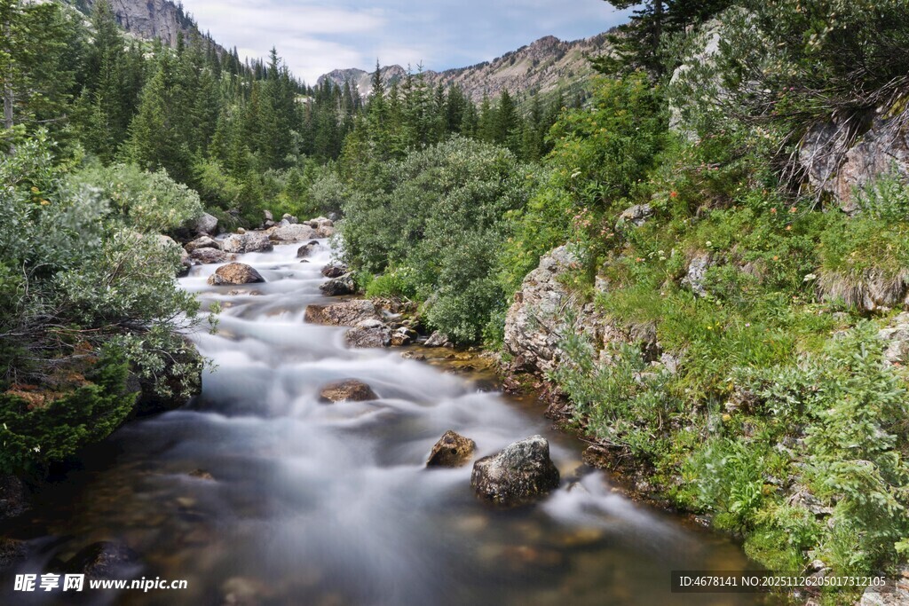 山间溪流潺潺的自然景观