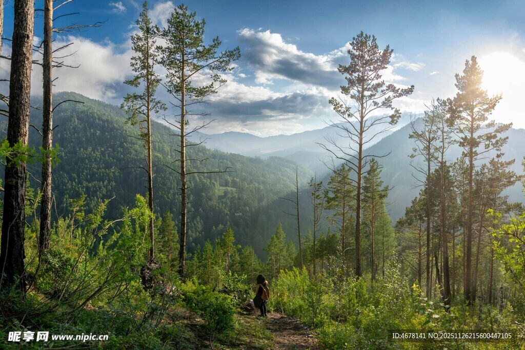 山林间漫步的静谧景致