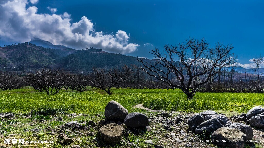 山野风光静谧自然之景