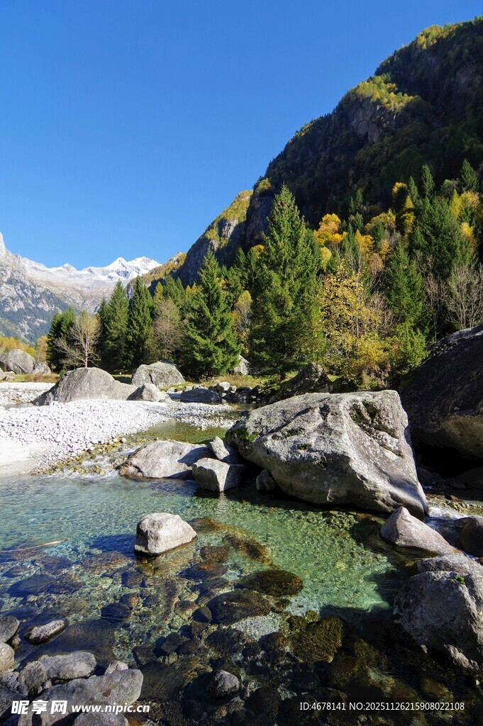 山间清澈溪流与多彩山林