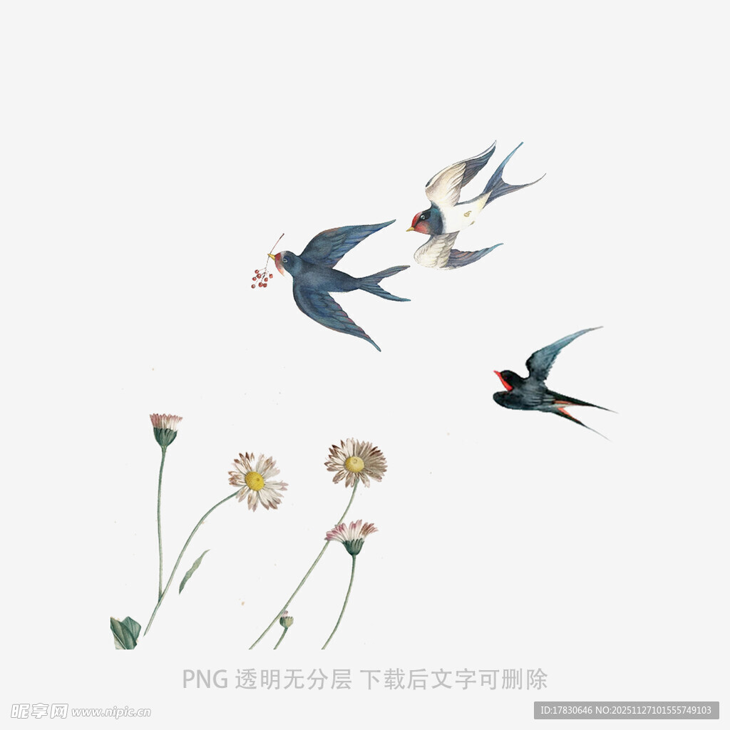 燕子与花卉的清新插画