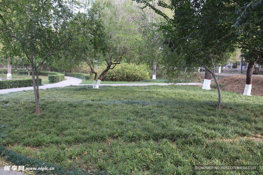 绿意盎然的园林景观