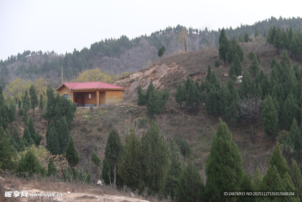 山间红亭隐于葱郁林木