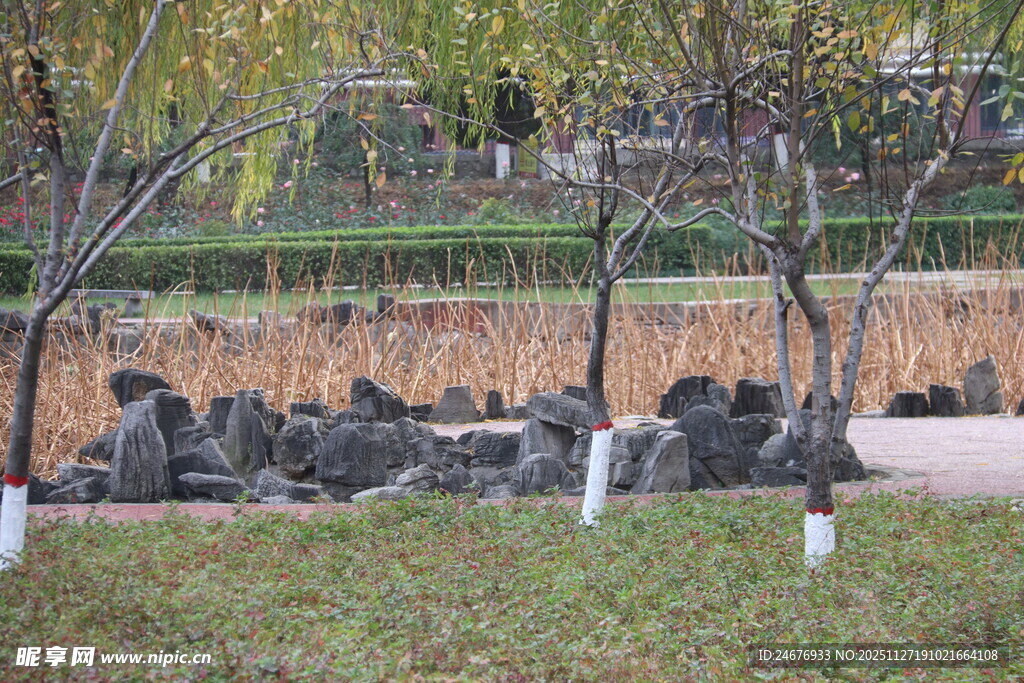 公园中休憩的石雕动物群