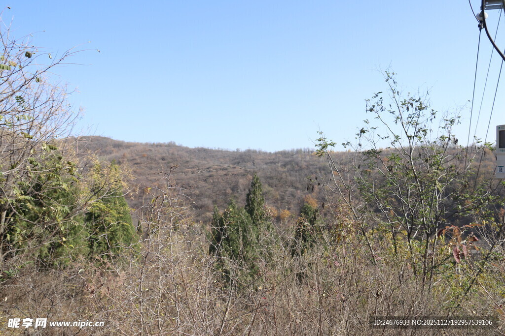 野外山间植被景观