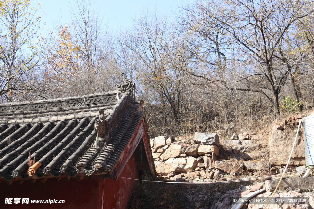 古建红墙与萧瑟树木