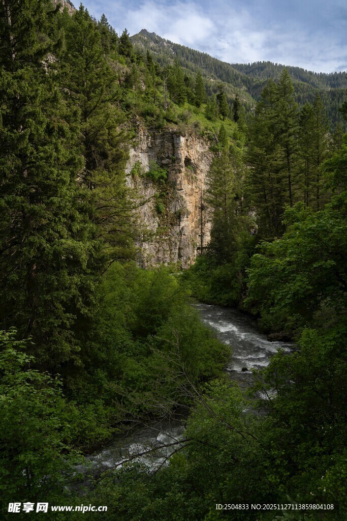 山间溪流穿林而过的美景
