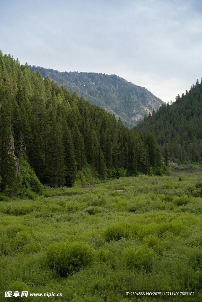山间绿野 自然清新之景