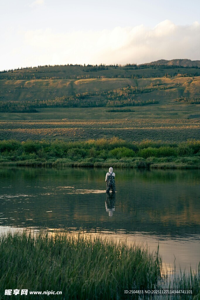 湖畔飞鸟 静谧自然之景