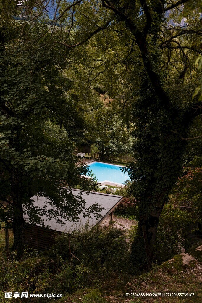 林间隐匿的蓝池美景