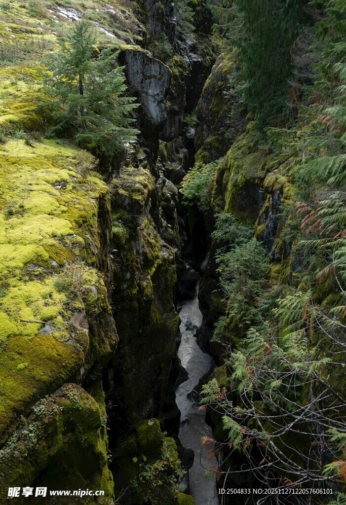 山间苔藓覆盖的岩石缝隙