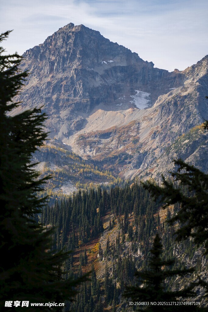 壮丽山景与葱郁林木