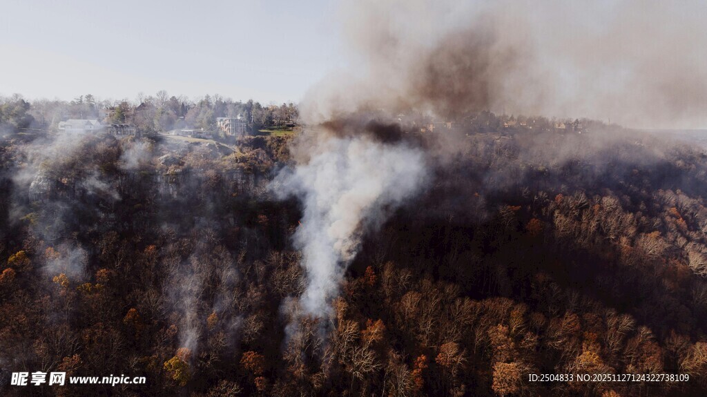 森林大火中 滚滚浓烟