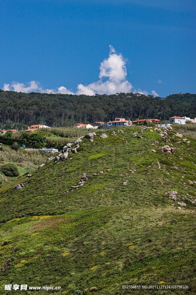 绿色山坡上的人群与美景