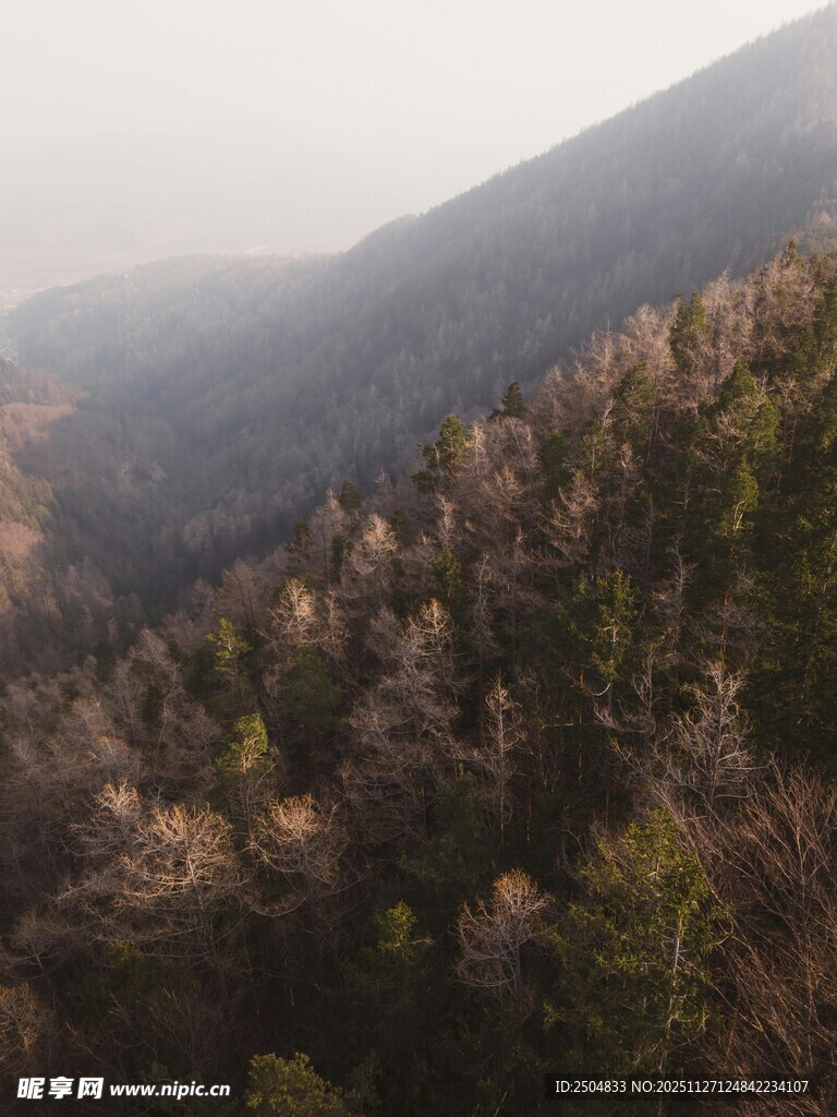 山林秋景俯瞰