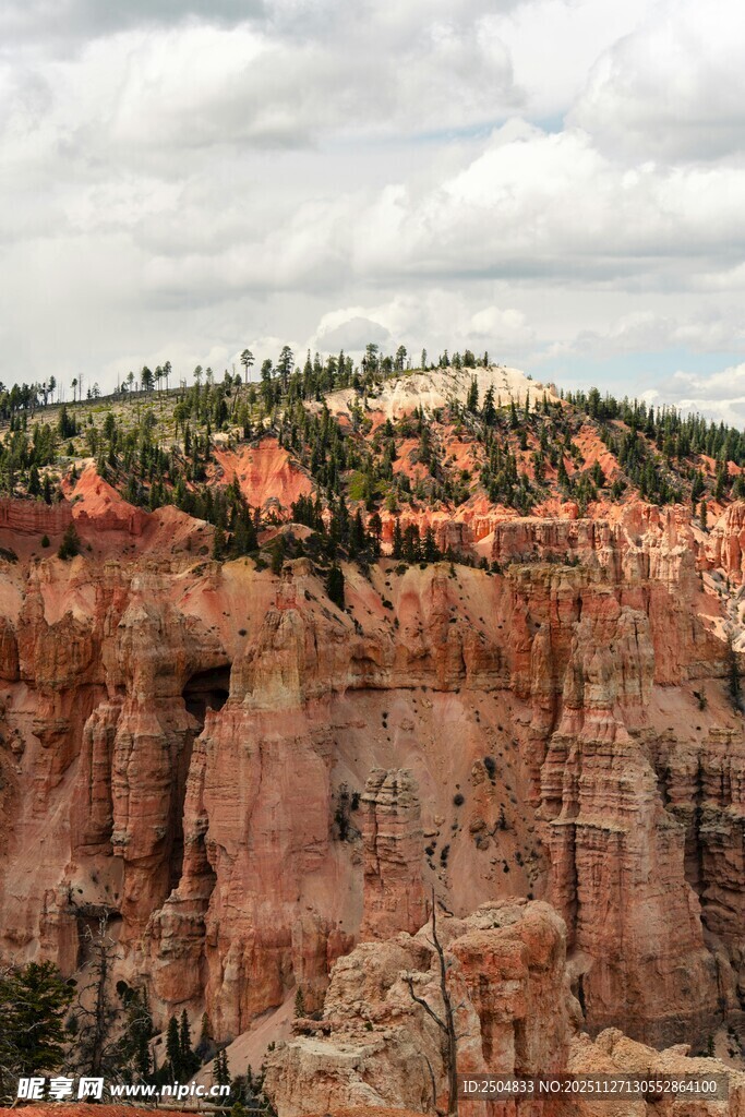 壮丽红石峡谷景观