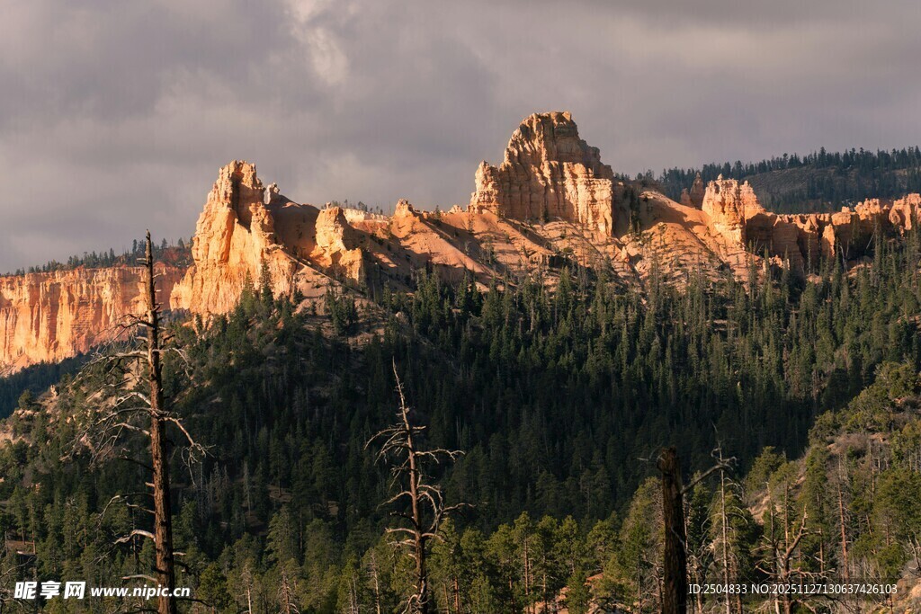 壮丽山林中的奇特岩石景观