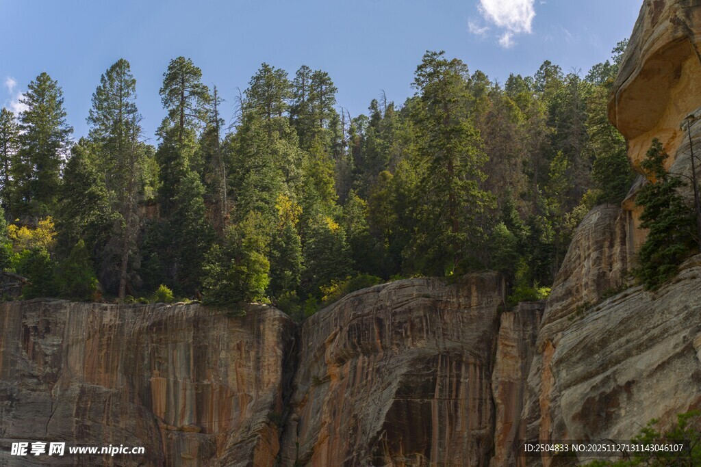 壮丽悬崖边的茂密森林