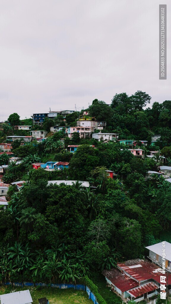 俯瞰绿意盎然 居民区