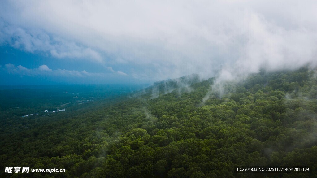 云雾缭绕的山林美景