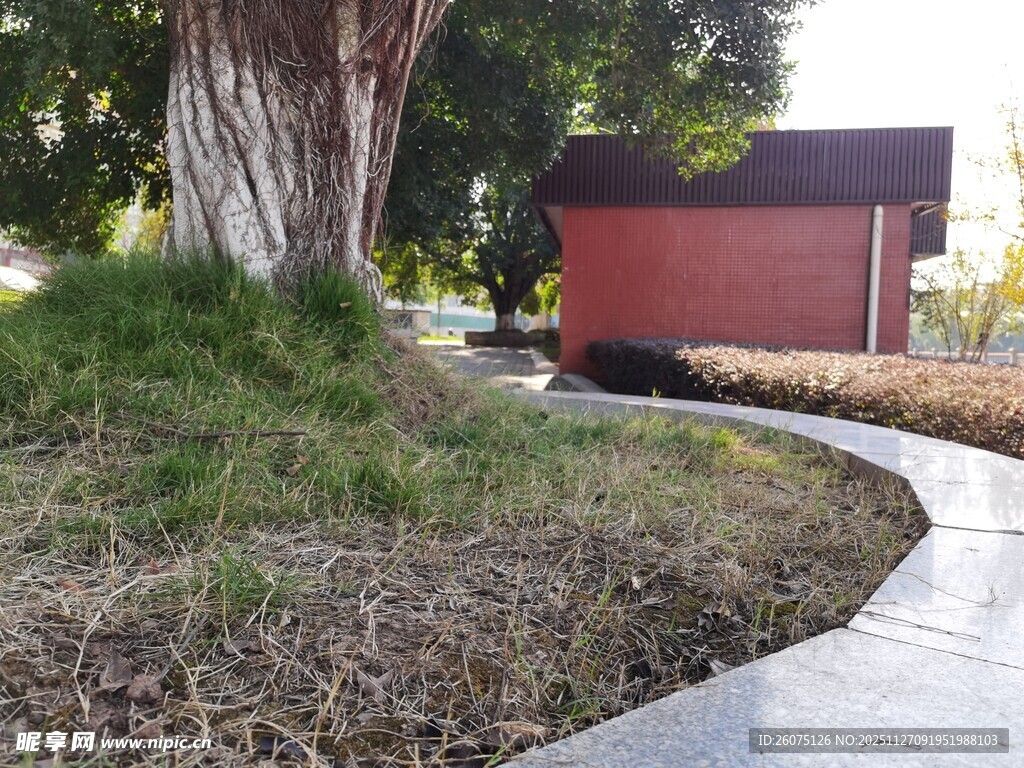 庭院小径旁的绿植与小屋