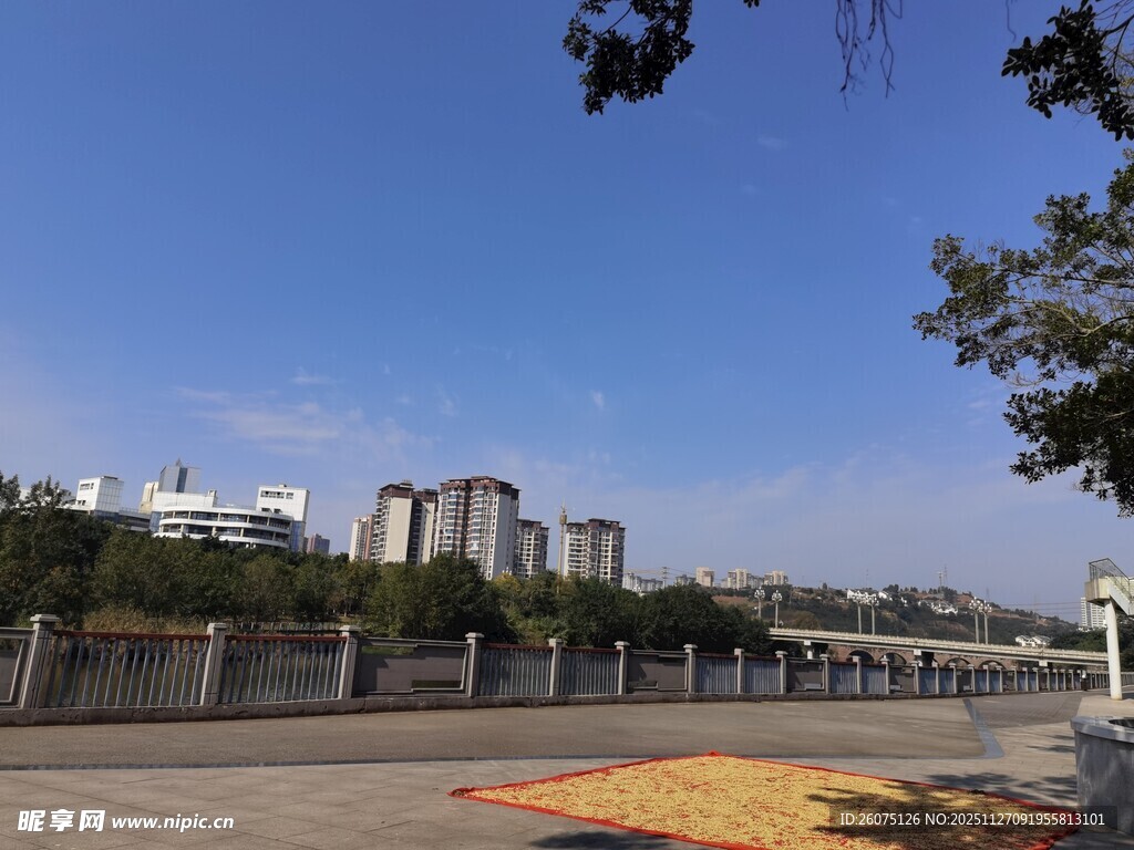 河畔城市风光美景