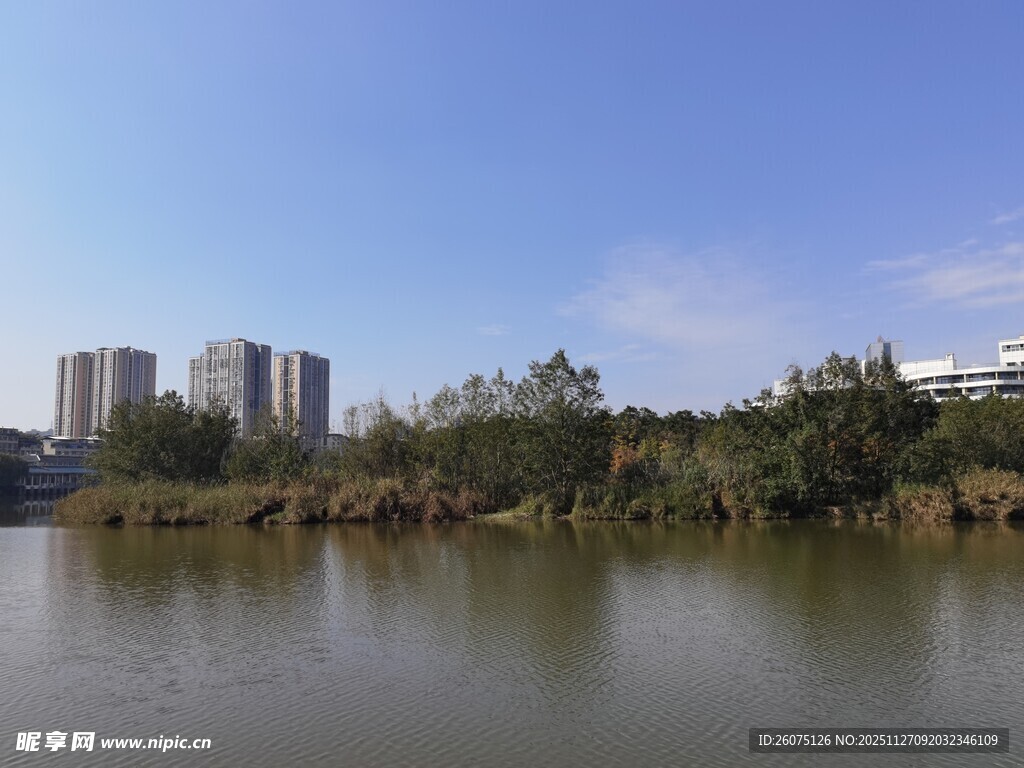 湖畔城市风光