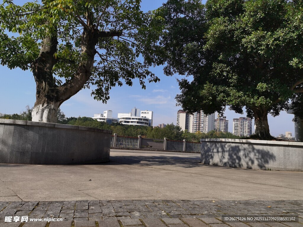 城市中开阔的树荫广场